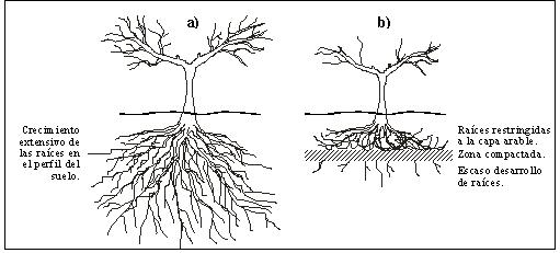 compactacion suelo.jpg (27957 bytes)